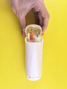 Electric toothbrush in travel case